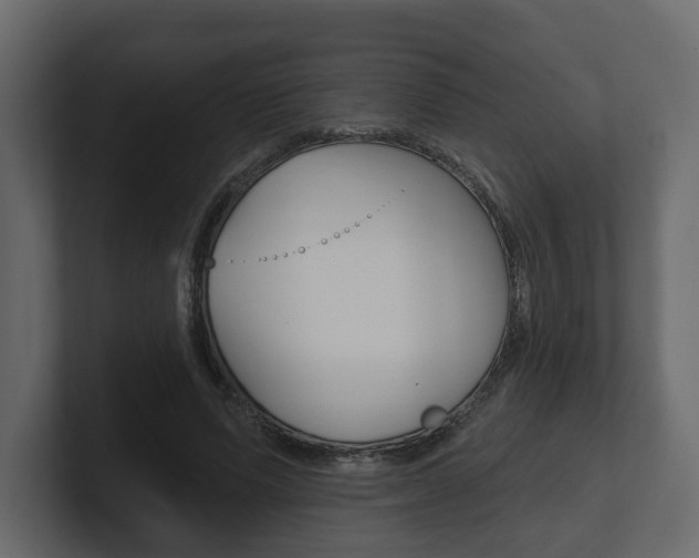 X0000101180591200806270828