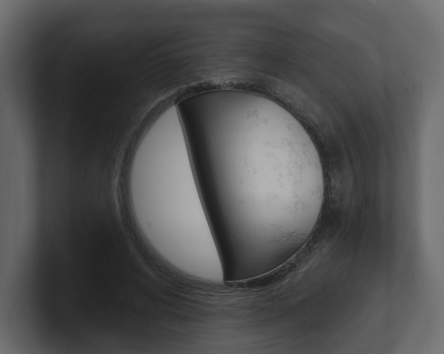 X0000101180592200806270828