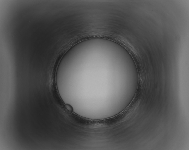 X0000101180593200806270828