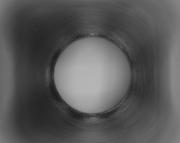X0000101180594200806270828