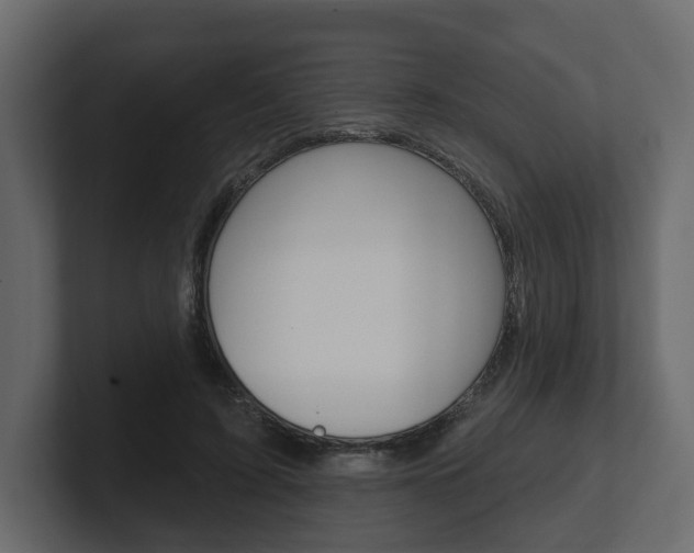 X0000101180595200806270828