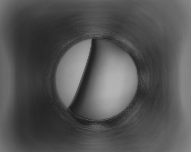 X0000101180596200806270828