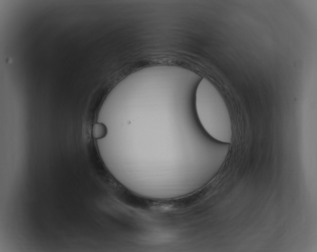 X0000101180602200806270828