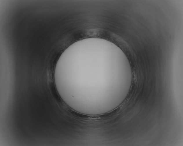 X0000101180606200806270828