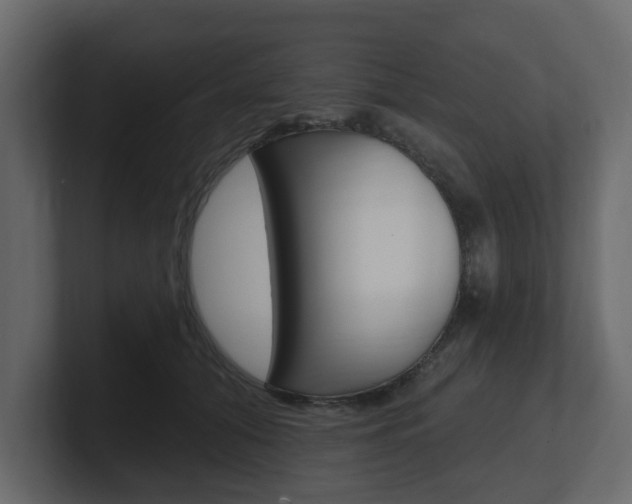 X0000101180608200806270828