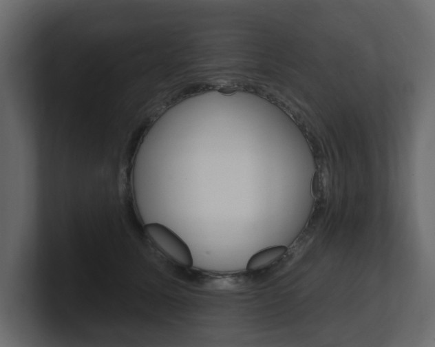 X0000101180611200806270828