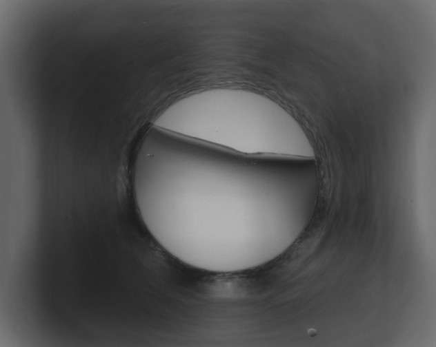 X0000101180612200806270828