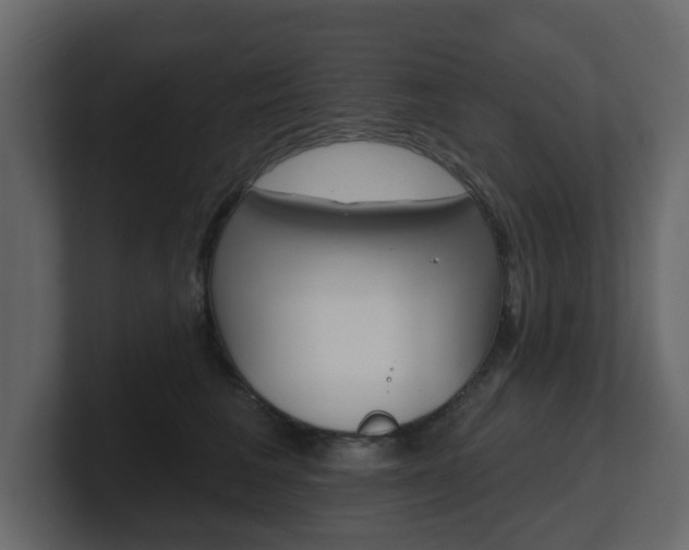 X0000101180613200806270828