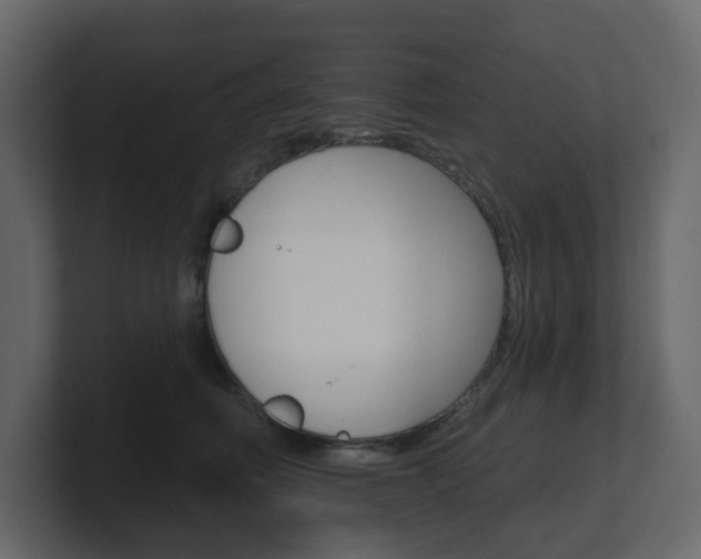 X0000101180614200806270828