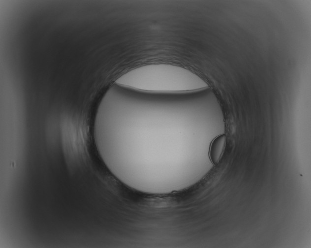 X0000101180615200806270828
