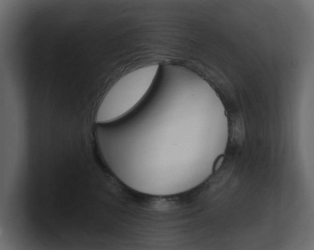 X0000101180616200806270828