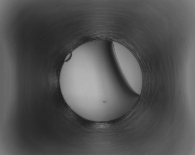 X0000101180617200806270828