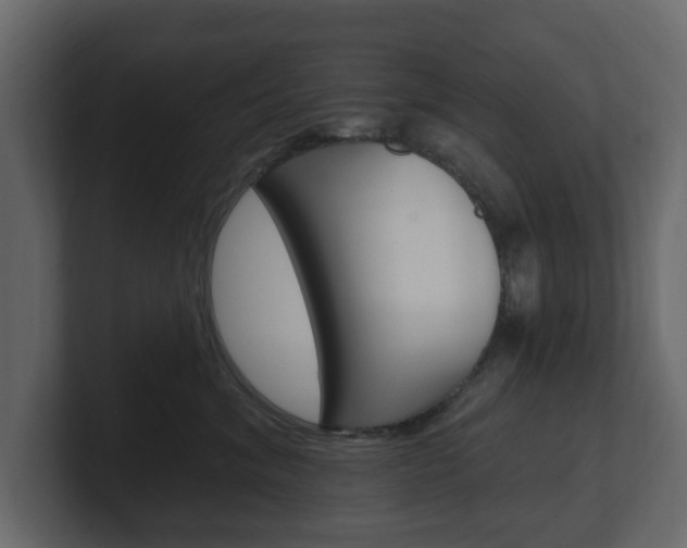 X0000101180620200806270828