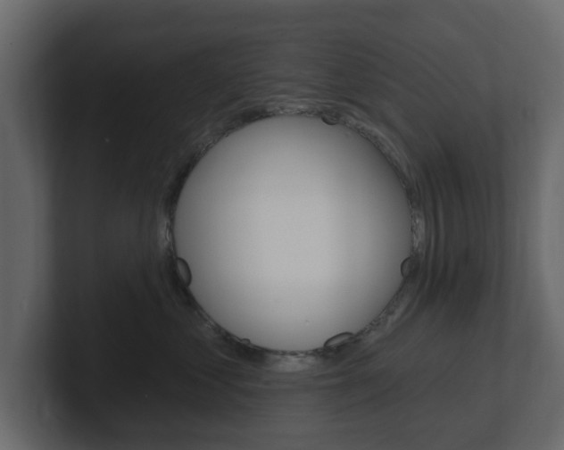 X0000101180621200806270828