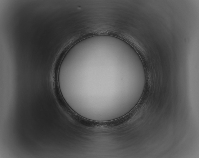 X0000101180634200806270827