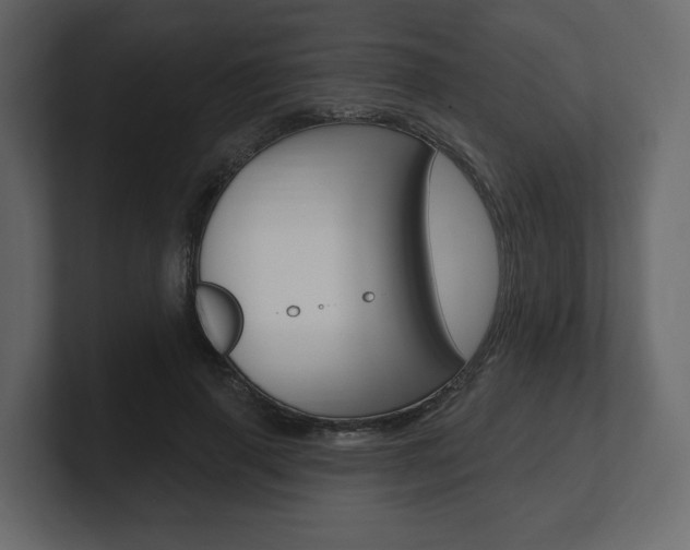 X0000101180645200806270827
