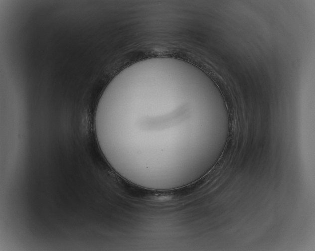 X0000101180651200806270827