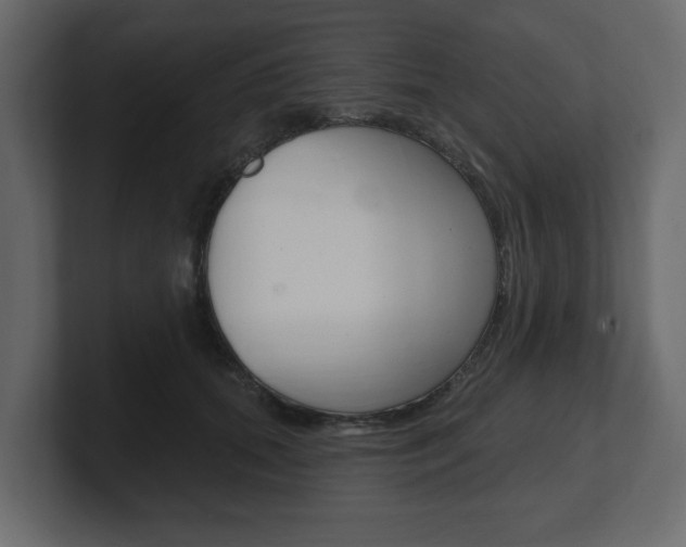 X0000101180655200806270827