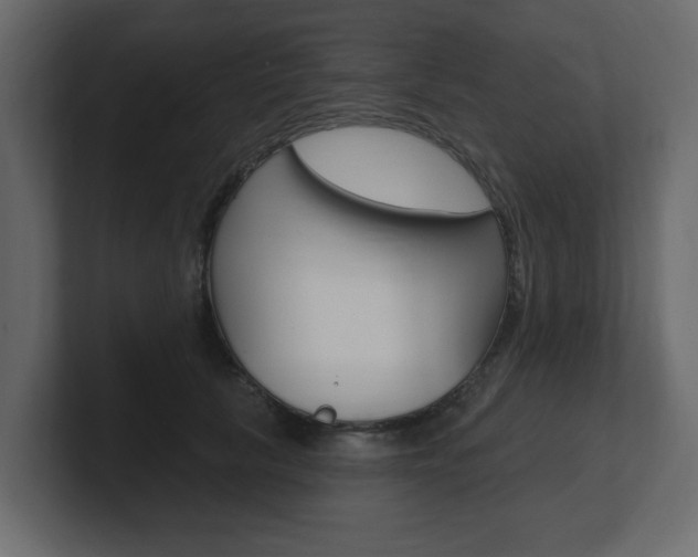X0000101180657200806270827