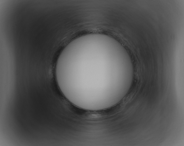 X0000101180658200806270827