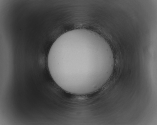 X0000101180659200806270827