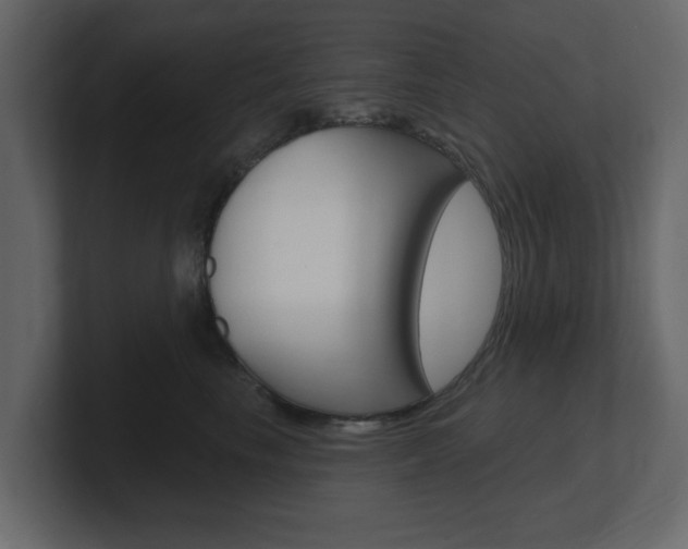 X0000101180665200806270828