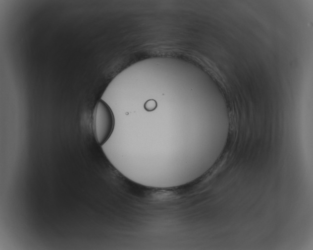 X0000101180669200806270828