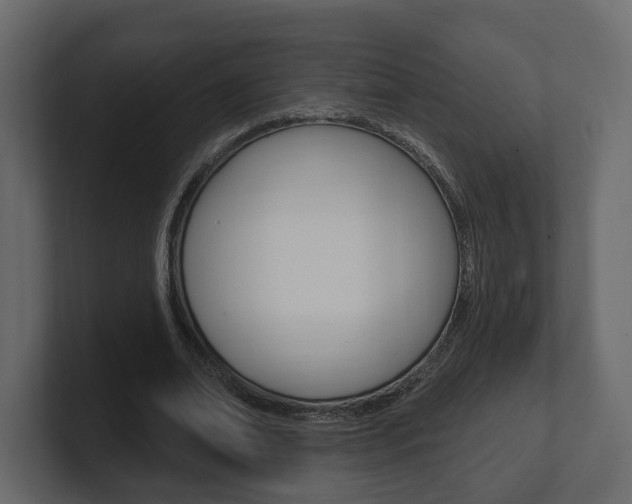 X0000101180678200806270827