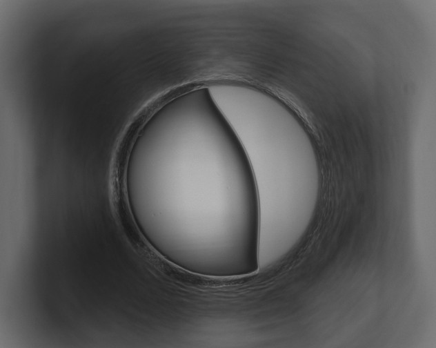 X0000101180680200806270827