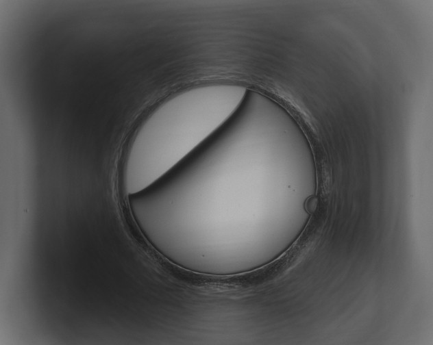 X0000101180681200806270827