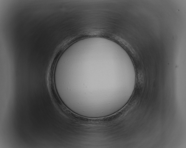 X0000101180682200806270827