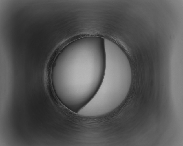 X0000101180684200806270827
