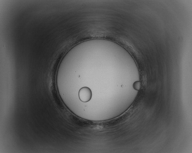 X0000101180687200806270827