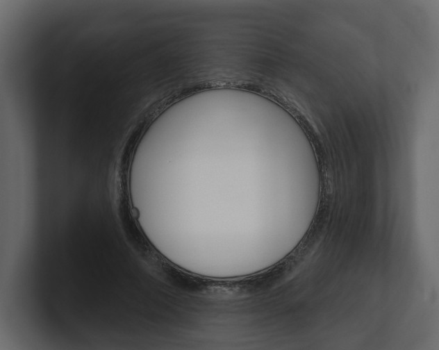 X0000101180690200806270827