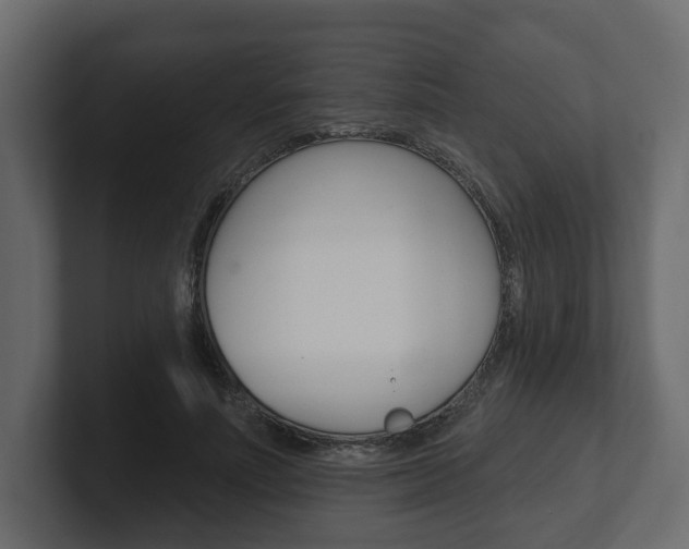 X0000101180691200806270827