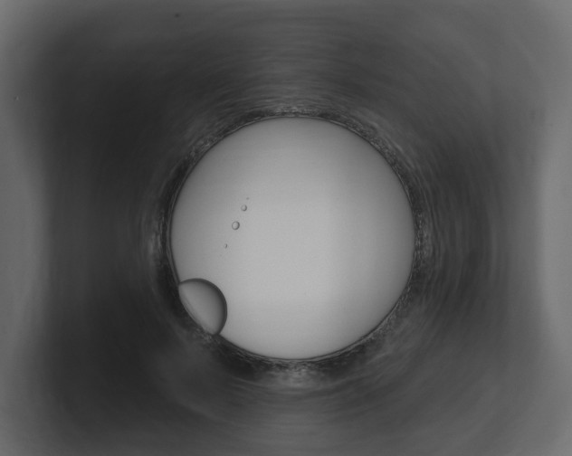 X0000101180695200806270827