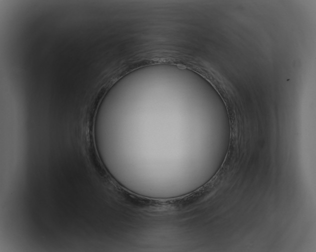 X0000101180696200806270827