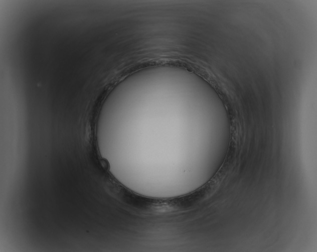 X0000101180704200806270827