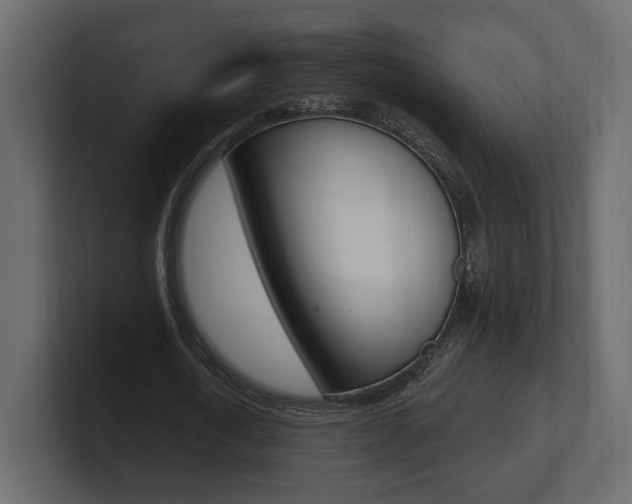 X0000101180722200806270826