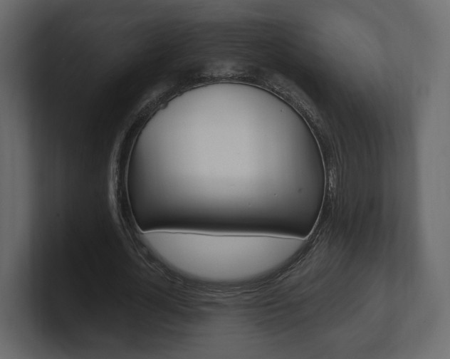 X0000101180724200806270826