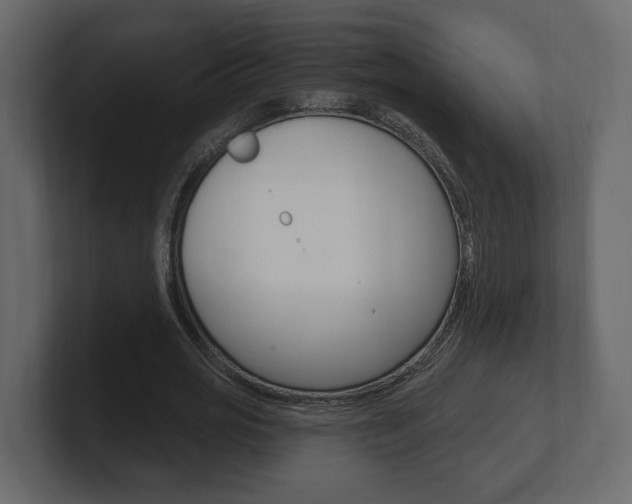 X0000101180725200806270826
