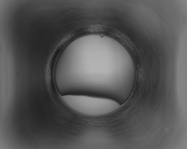 X0000101180727200806270826