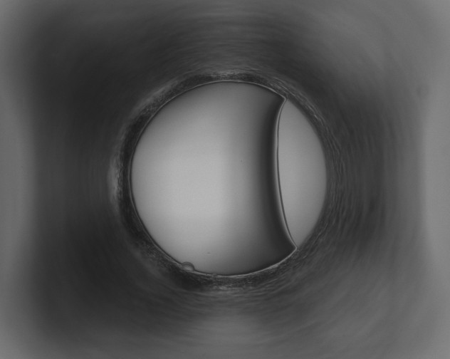 X0000101180732200806270826