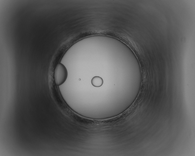 X0000101180736200806270826