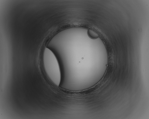 X0000101180738200806270826