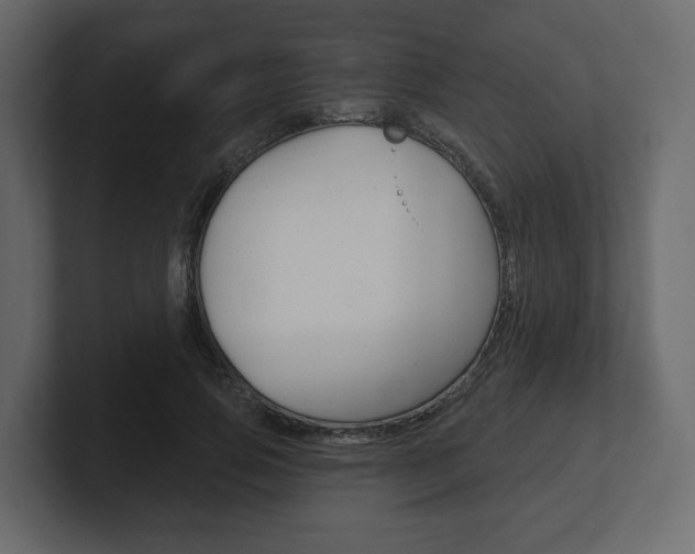 X0000101180741200806270826