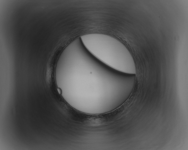 X0000101180742200806270826