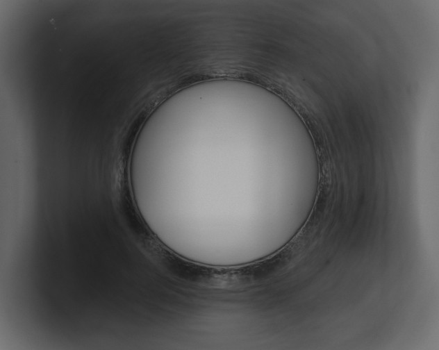 X0000101180744200806270826