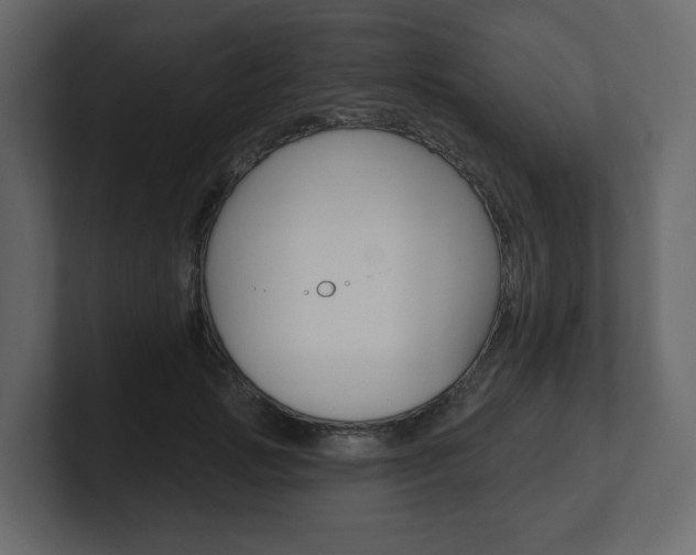 X0000101180749200806270826