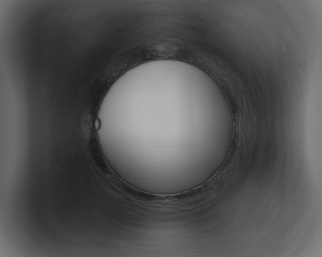 X0000101180752200806270826